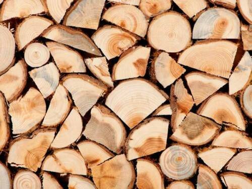 LEGNA DA ARDERE SECCA DA 80 KG